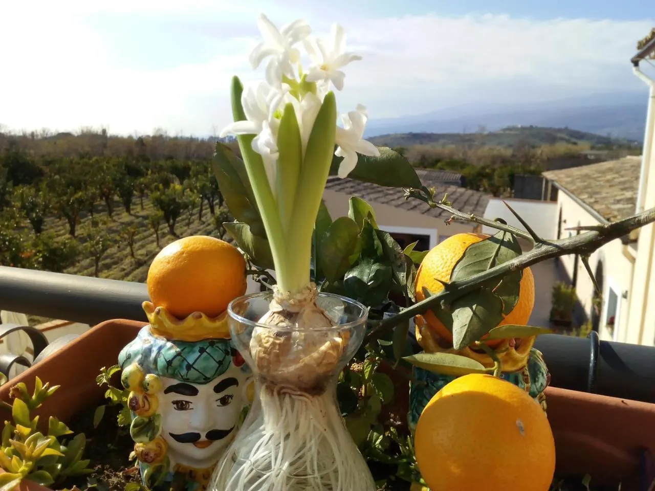 *** Guest house Villa Laura Apartment Giardini Naxos Italy