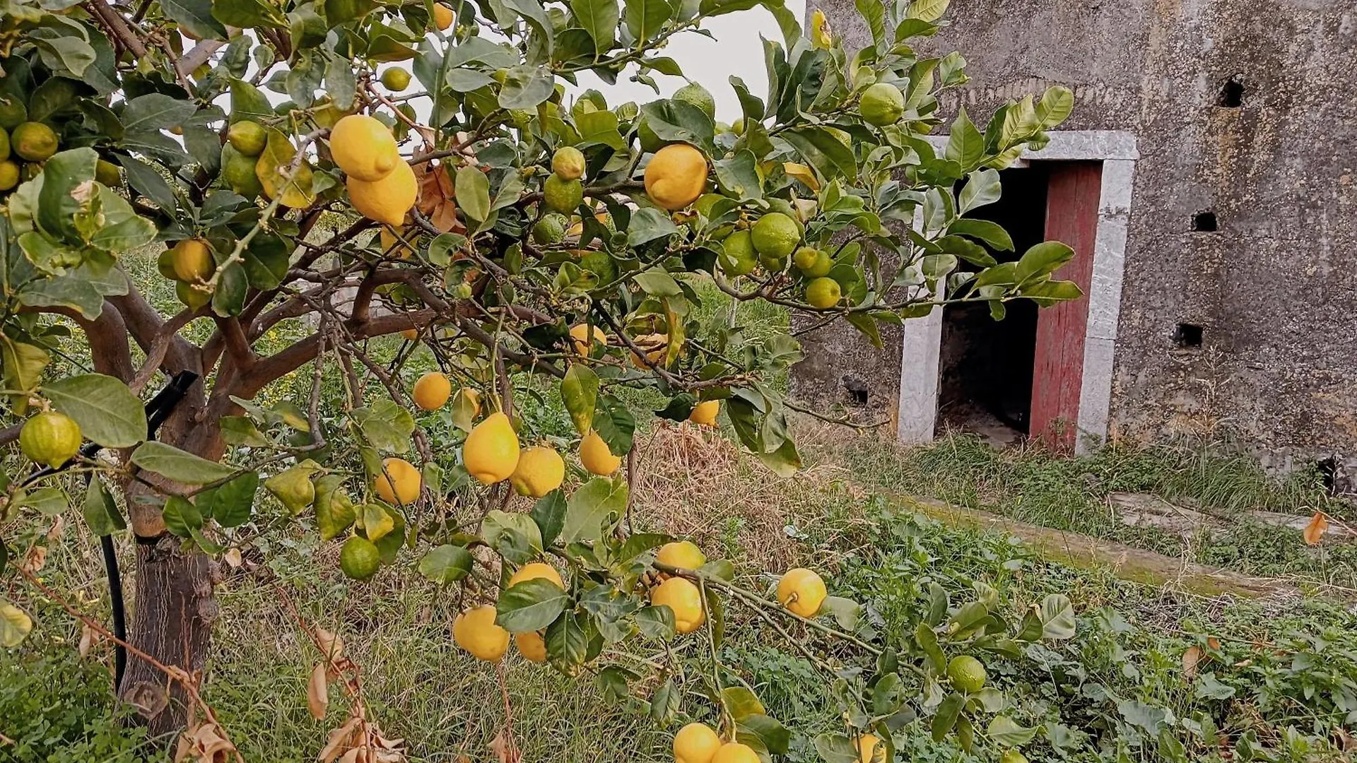 Villa Laura Apartment Giardini-Naxos